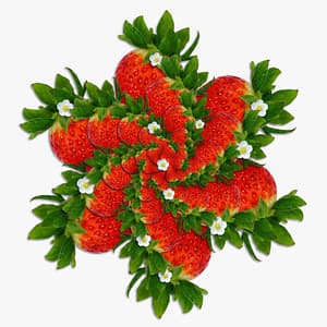 strawberry swirl