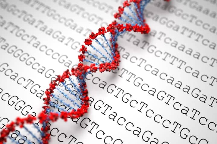 model of DNA helix positioned above text of DNA code