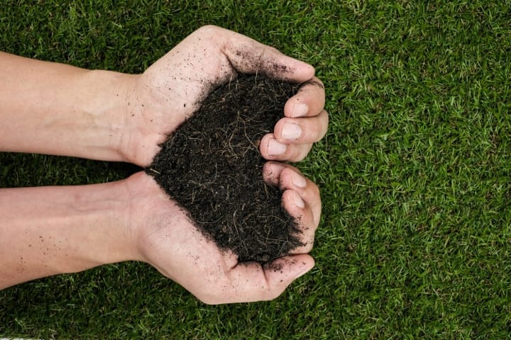 heart shaped hands holding soil above grass