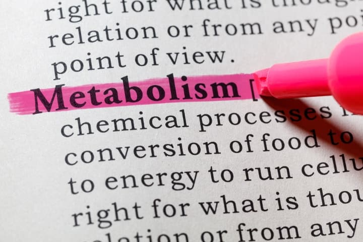 highlighted metabolism definition in dictionary