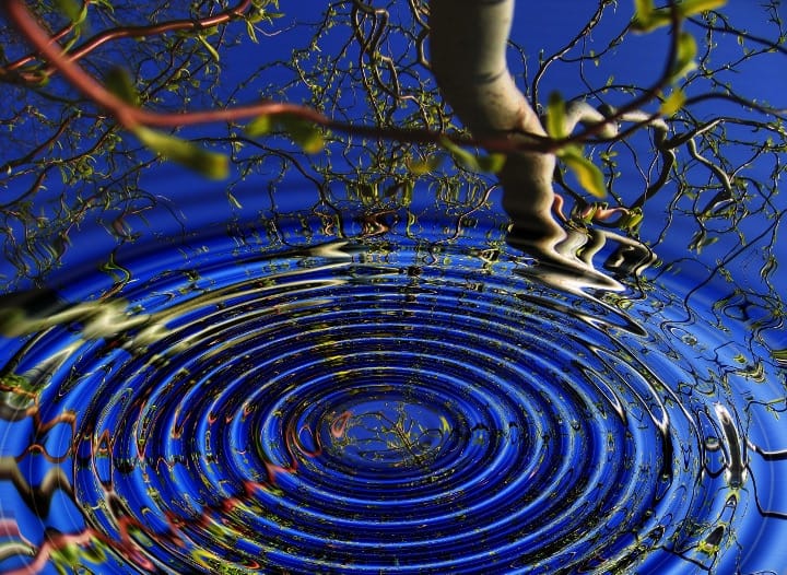 ripples in pond